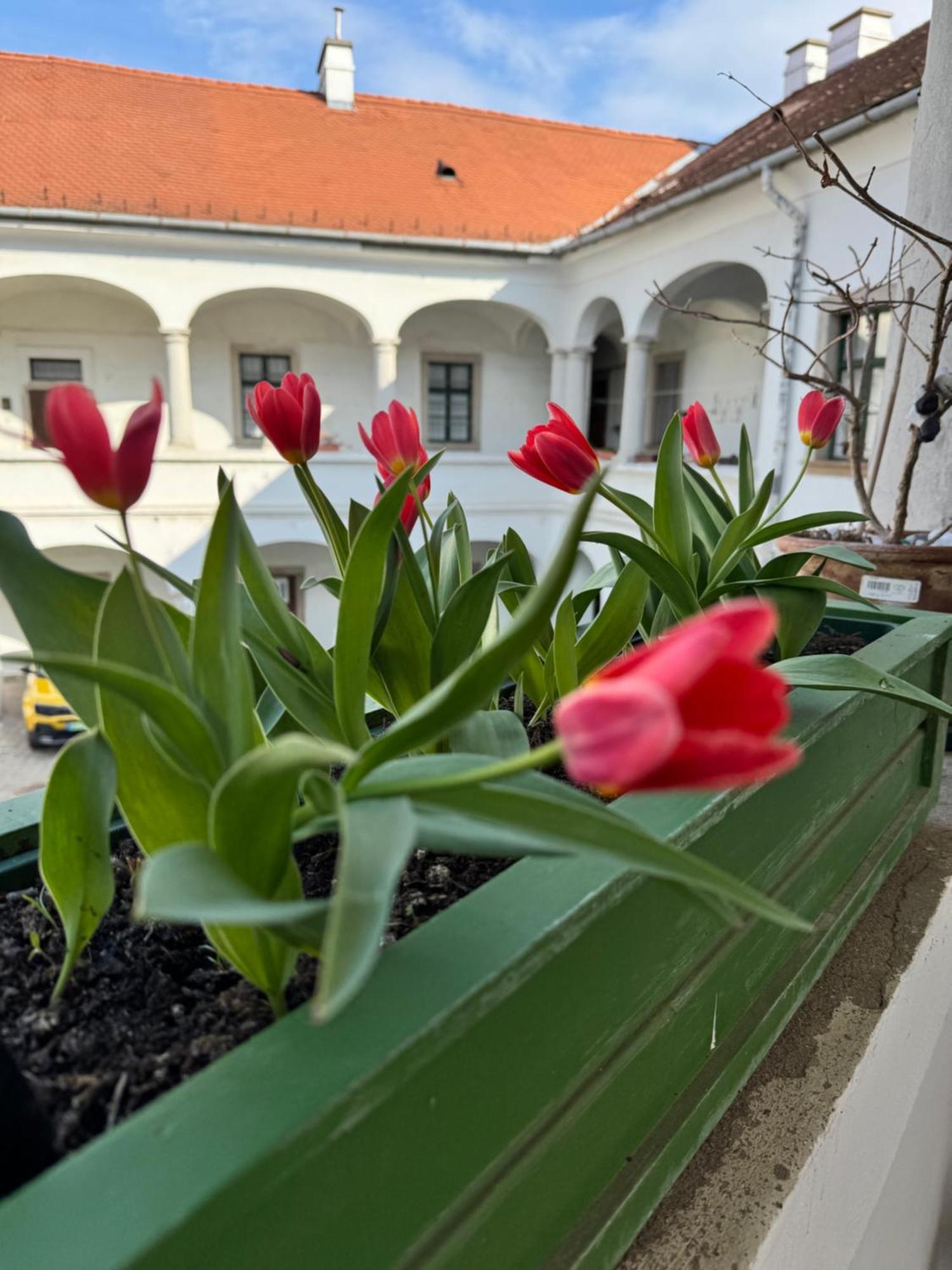 Forst-Haz Apartman Eger Buitenkant foto